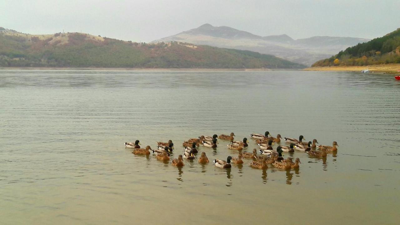 Mihaela Lake Retreat Yuvalar 外观 照片
